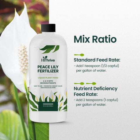 HiThrive mixing guidance shows convenient application with watering.