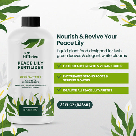HiThrive Peace Lily food dilution with water ensures even feeding.