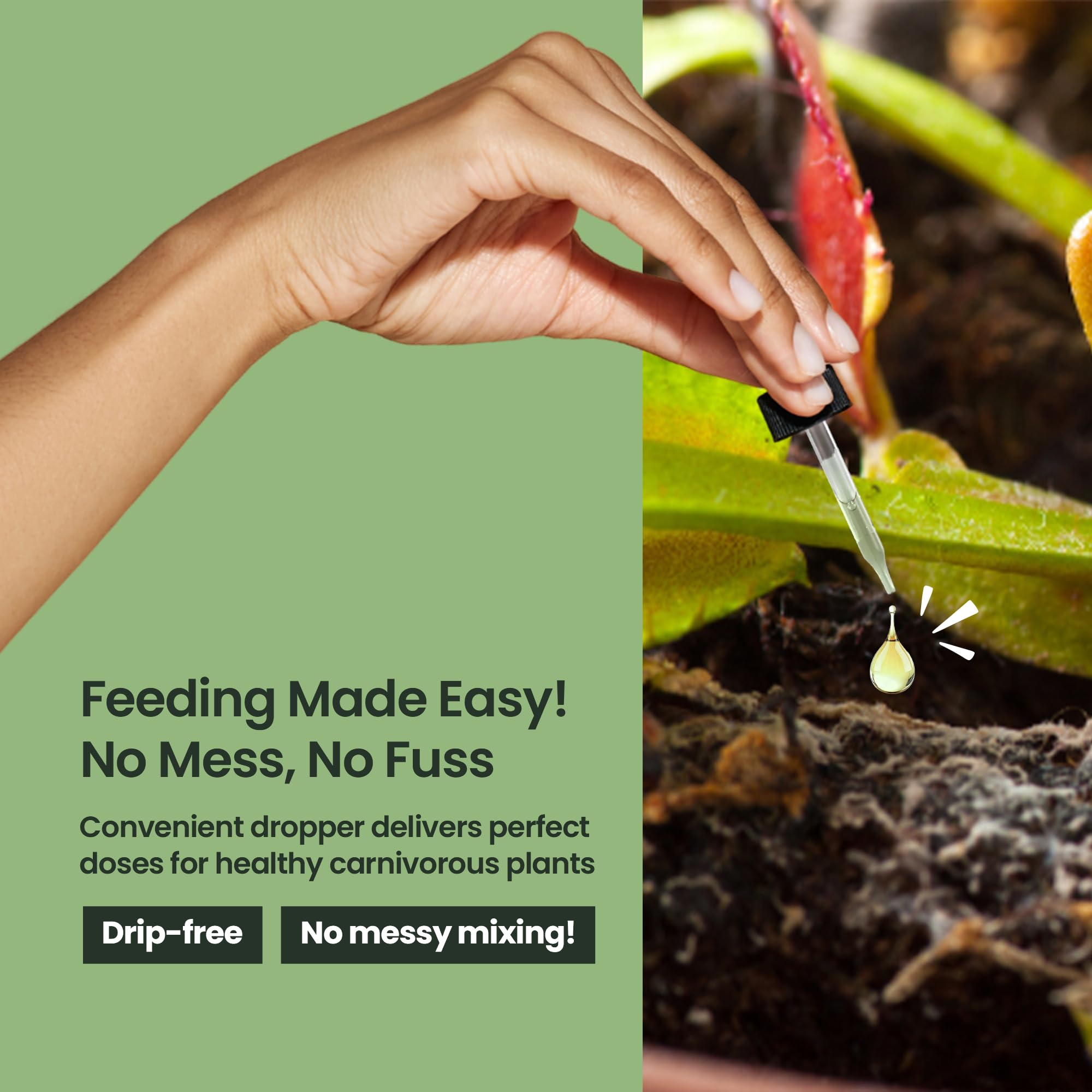 HiThrive pitcher plant food liquid supports vibrant growth indoors and outdoors.