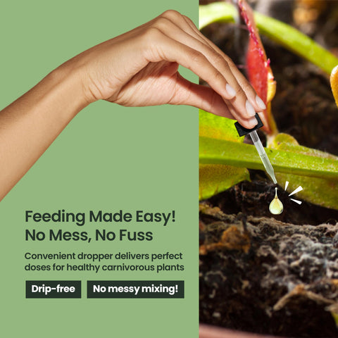 HiThrive pitcher plant food liquid supports vibrant growth indoors and outdoors.