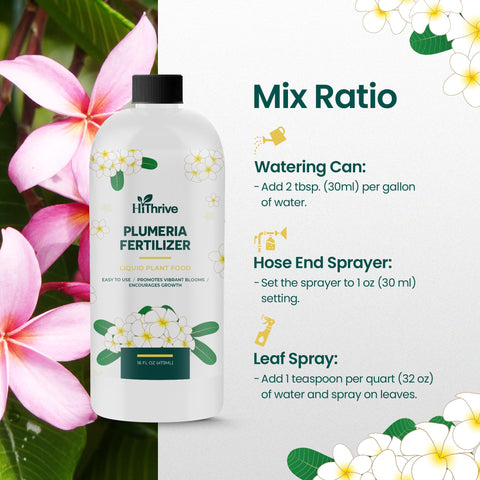HiThrive Plumeria Food easy application during watering.