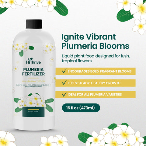 HiThrive Plumeria Food dilution with water for easy feeding.
