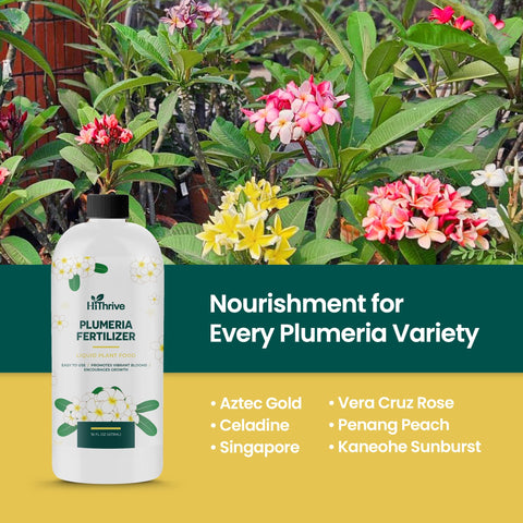 HiThrive Plumeria Food supports strong root growth.