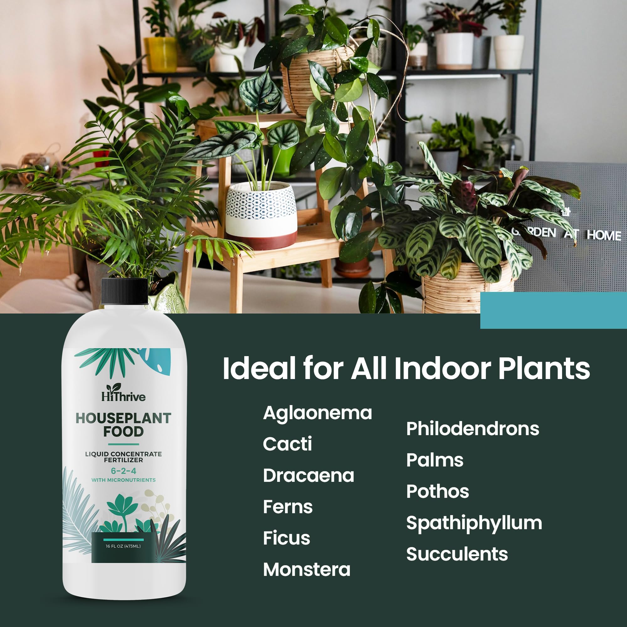 HiThrive pothos and monstera thriving with balanced nutrition.