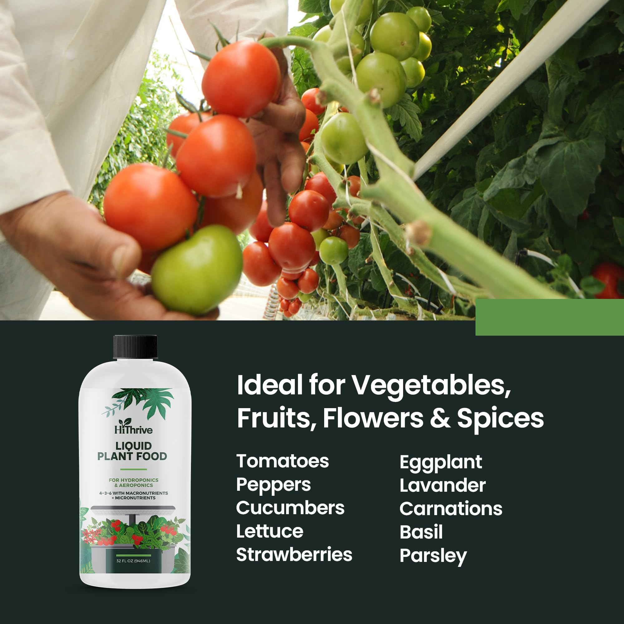 Robust root system supported by HiThrive in hydroponics
