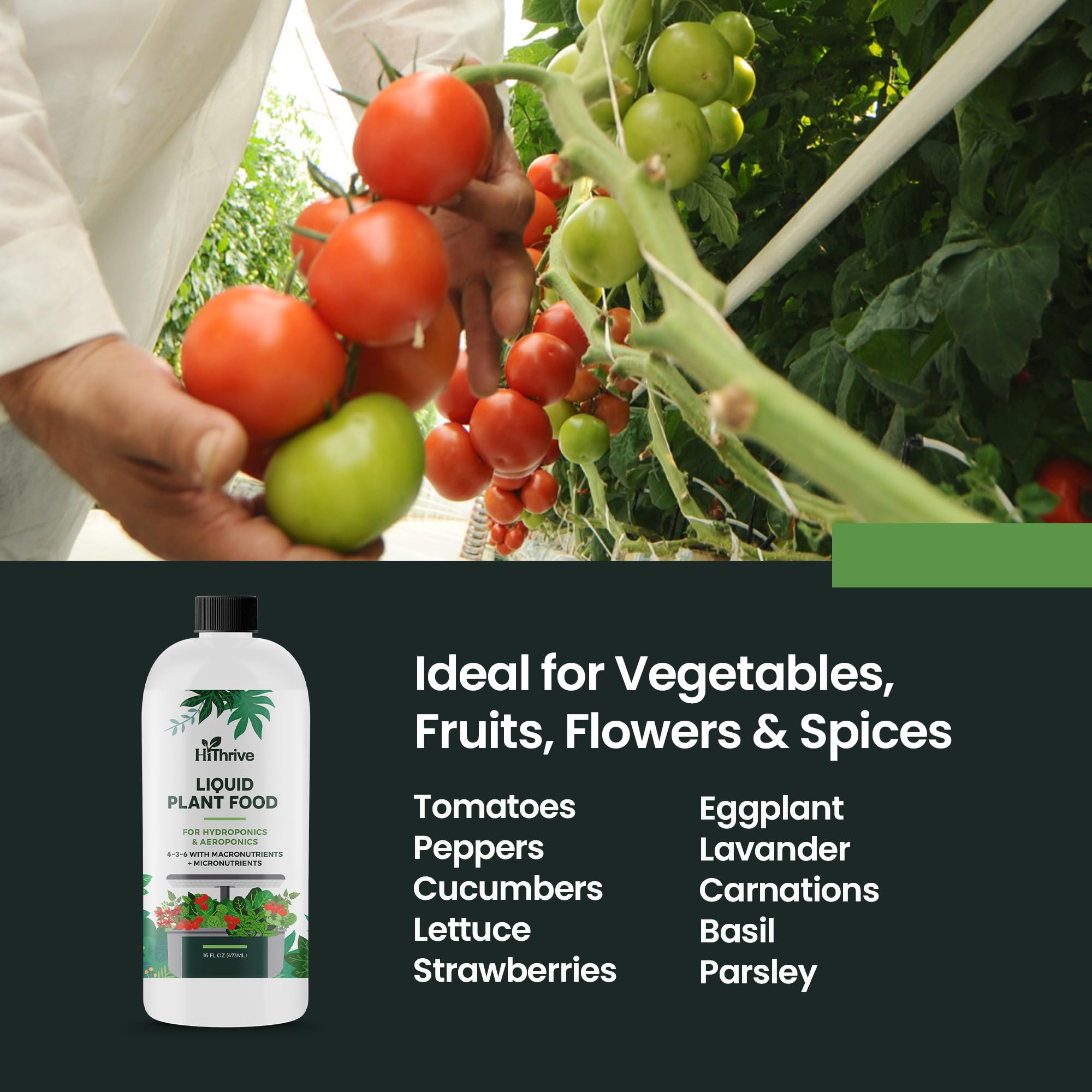 HiThrive root development boost illustrates stronger root systems in hydroponics.