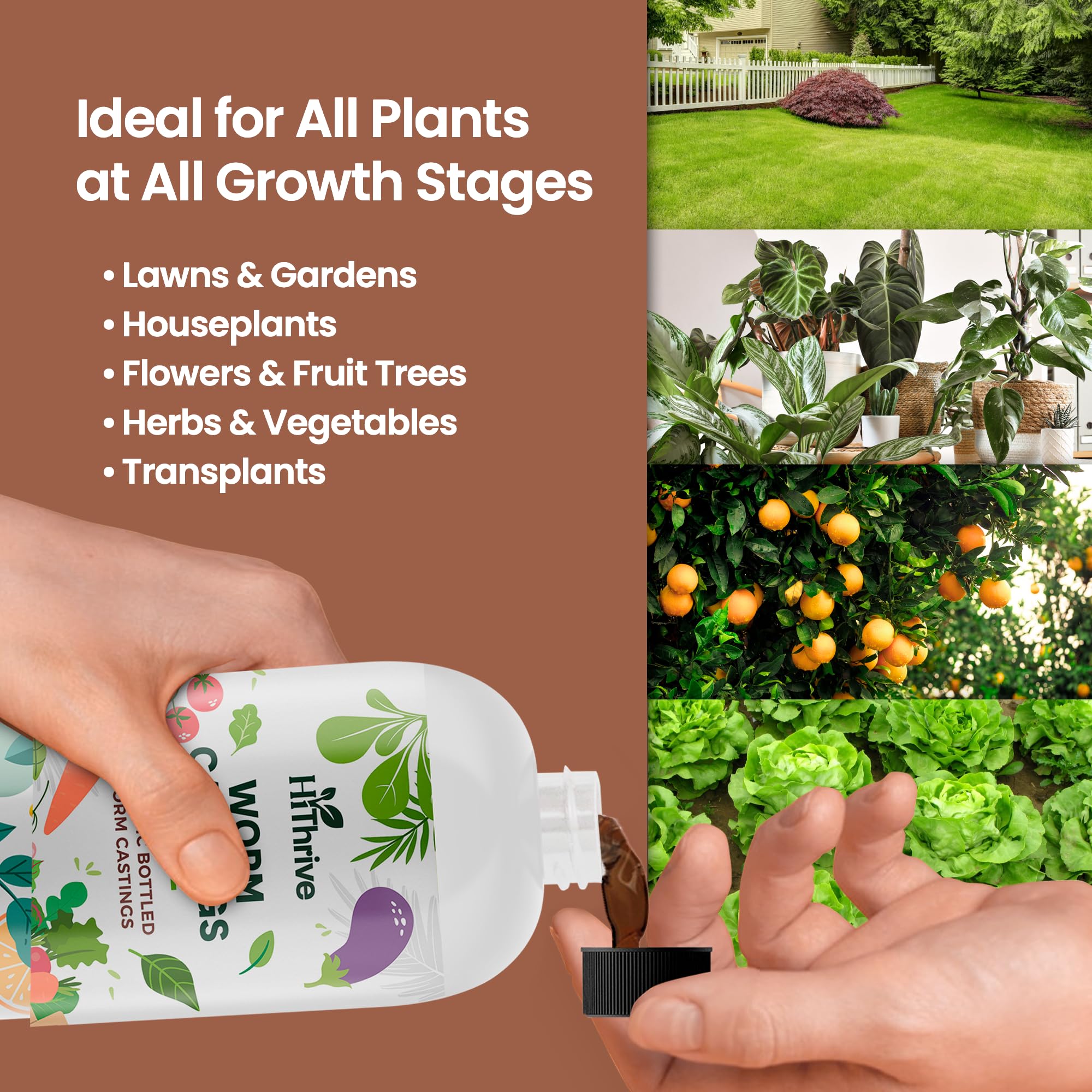 HiThrive roots benefit from improved soil aeration and nutrient access