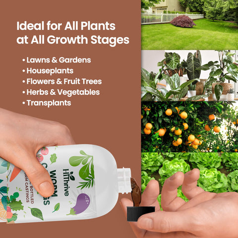 HiThrive roots benefit from improved soil aeration and nutrient access