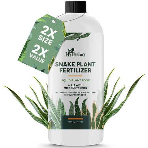 HiThrive Snake Plant Fertilizer bottle pour showing easy application for healthy indoor growth.