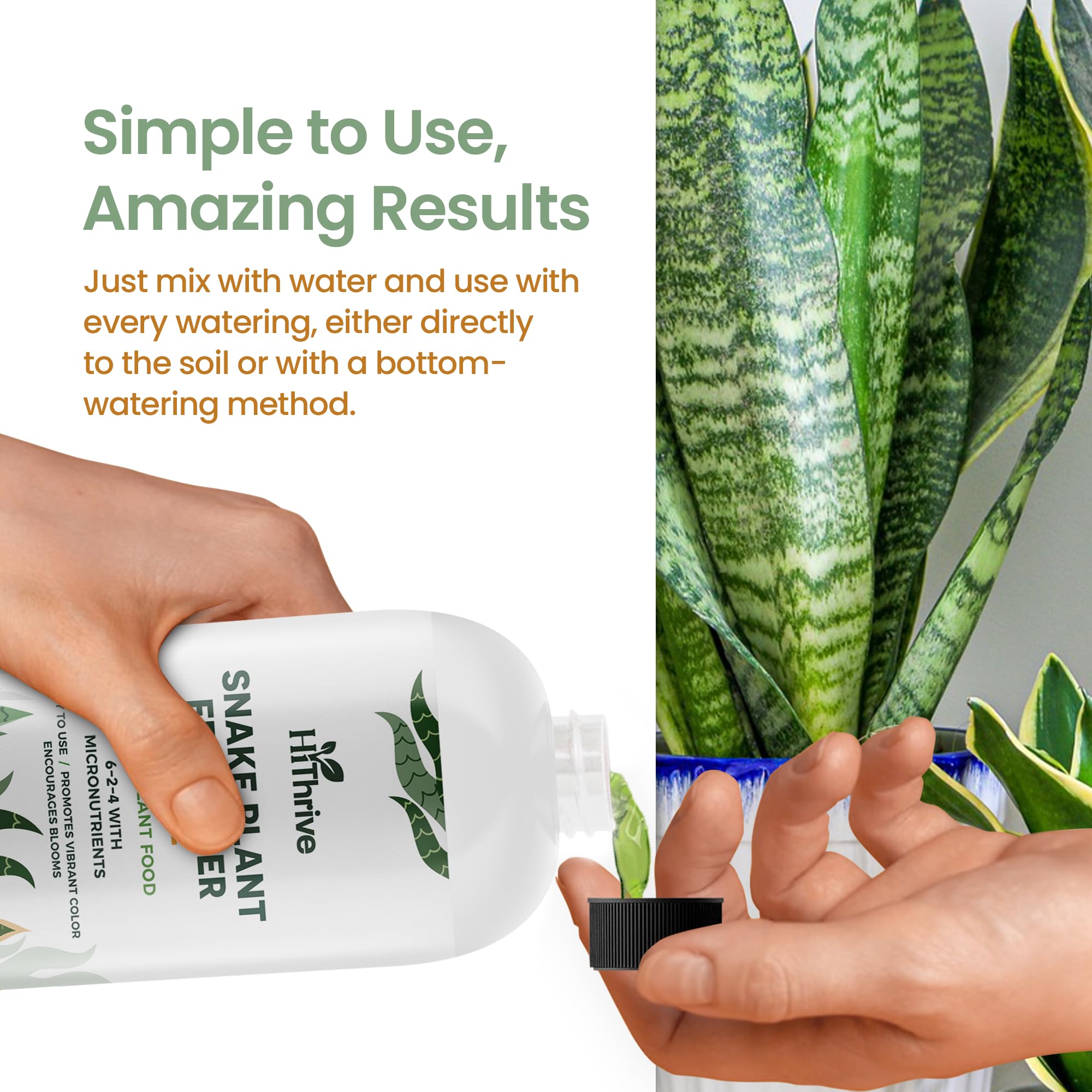 HiThrive Snake Plant Fertilizer label and nutrients emphasize balanced micronutrients for vitality.