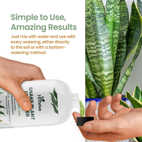 HiThrive Snake Plant Fertilizer label and nutrients emphasize balanced micronutrients for vitality.