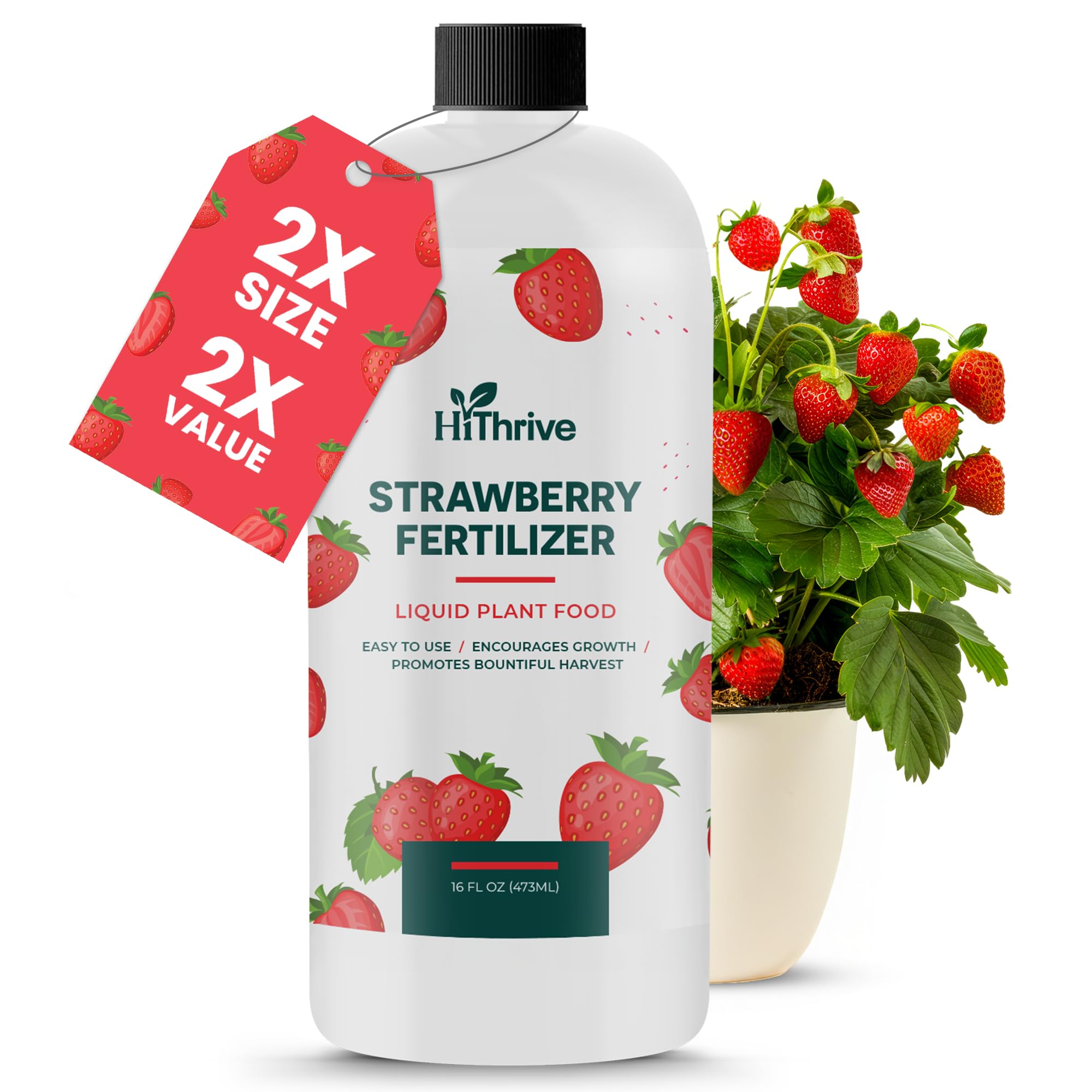 HiThrive strawberry fertilizer bottle ready for easy feeding.