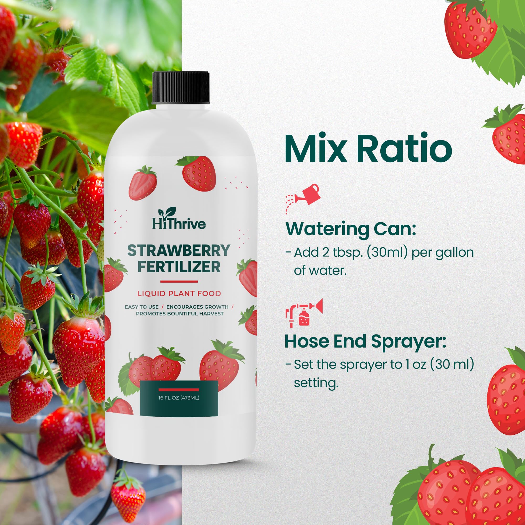 HiThrive helps harvest-ready strawberries with balanced nutrition.