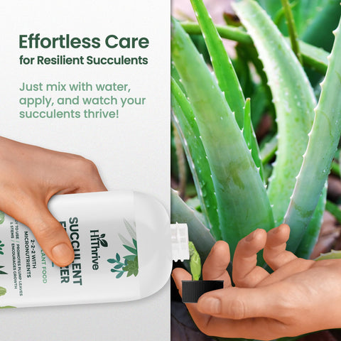 HiThrive succulent fertilizer application with measuring cap enables easy, consistent feeding.