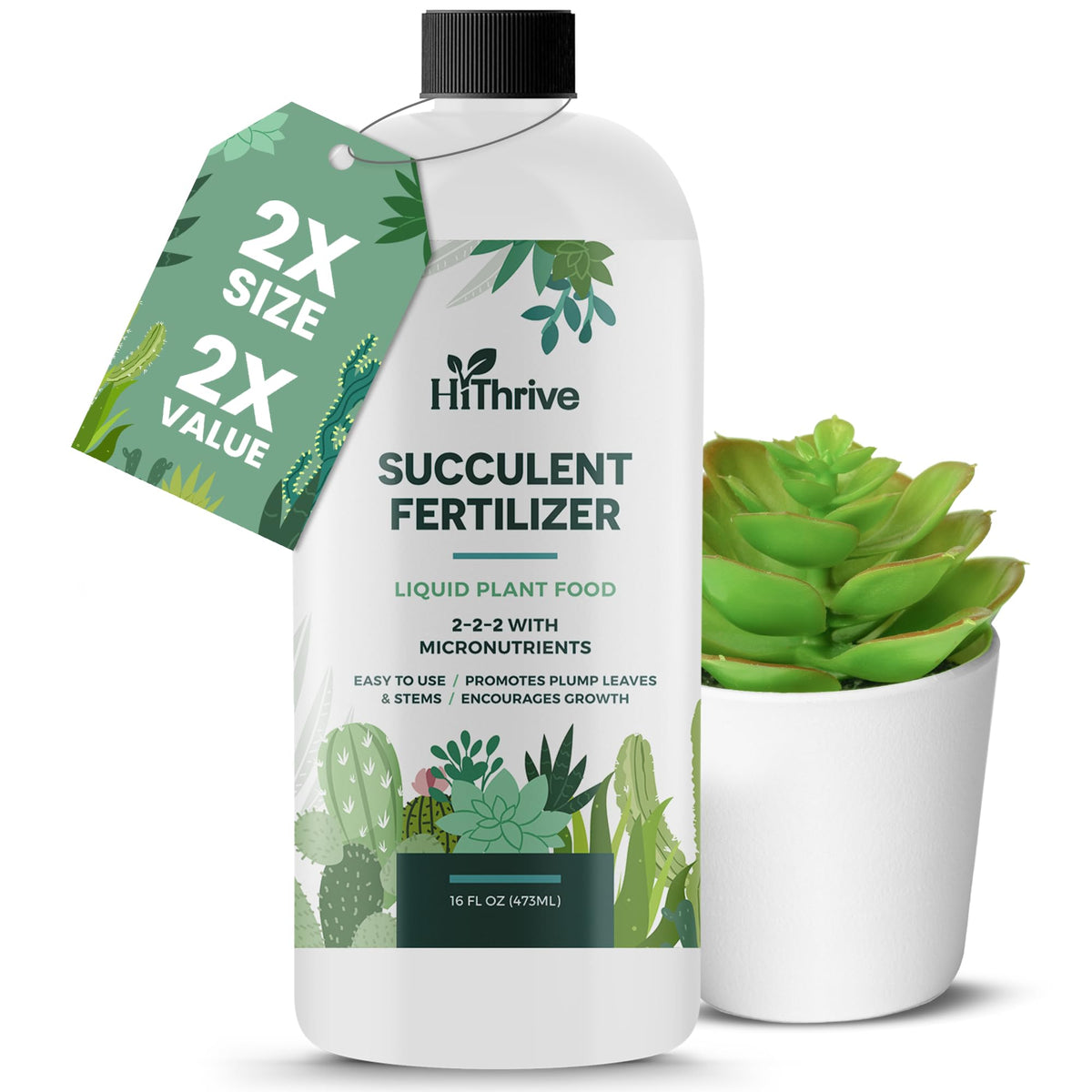 HiThrive succulent fertilizer 16oz bottle for vibrant leaves and stronger roots.