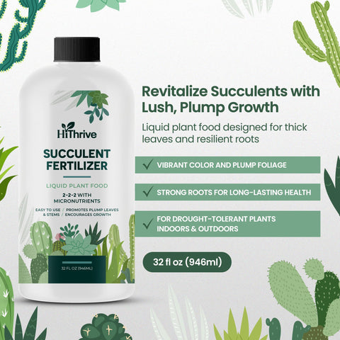 HiThrive succulent fertilizer mixing in water for even distribution.