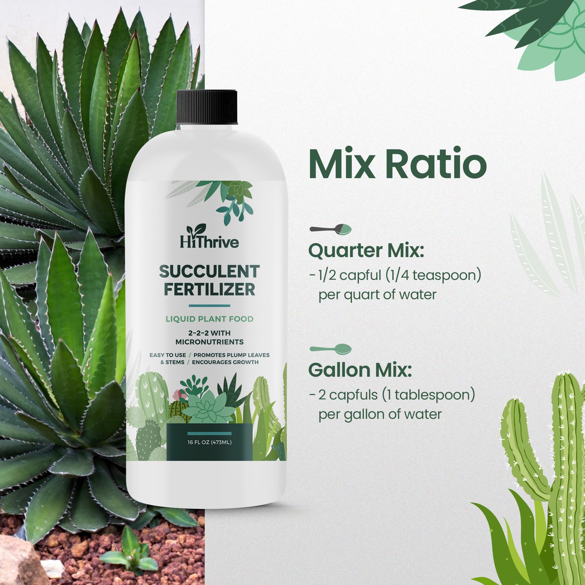 HiThrive succulent fertilizer helps diverse varieties like Aloe Vera and Jade stay healthy.