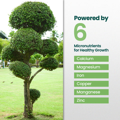 HiThrive supports a variety of trees and shrubs including oak and maple.