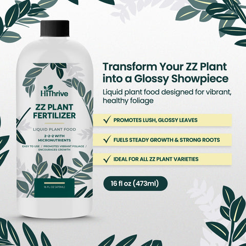 HiThrive ZZ Plant Fertilizer being mixed into water for indoor and outdoor ZZ plants.