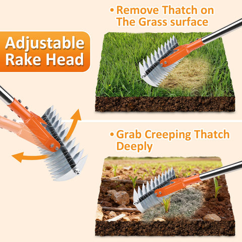 Hivenlly Thatch Rake durable stainless steel body for long lasting outdoor use.