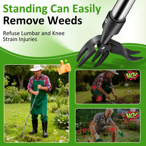 Disassembled into four parts for compact storage and easy transport.