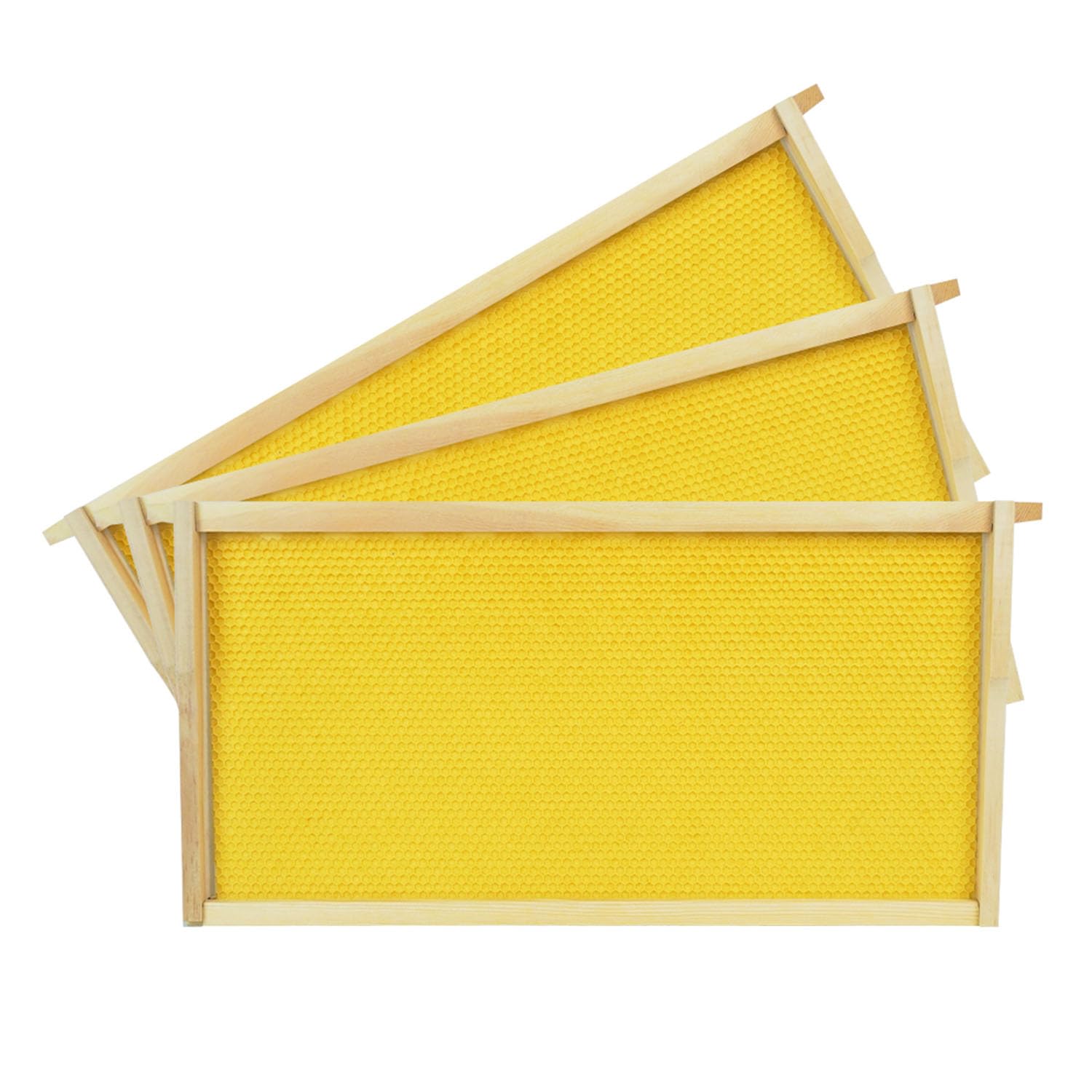 HiveSweet 10-pack packaging image showing ready-to-use frames