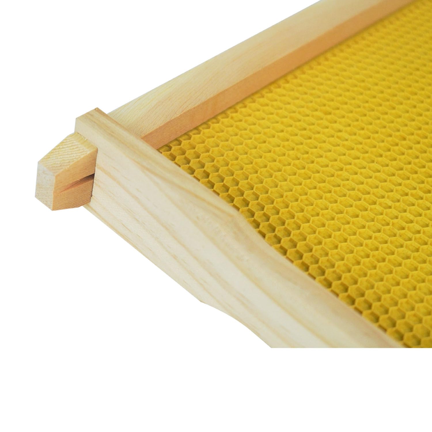 HiveSweet 10-pack frames provide ready-to-use beekeeping supplies.