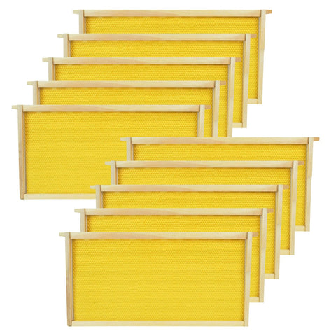 HiveSweet deep brood frame with wax foundation closeup for strong hive development