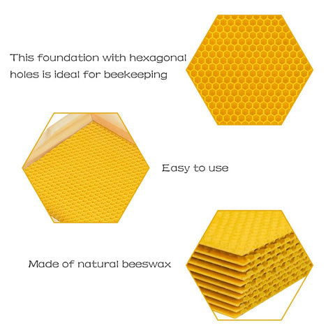 HiveSweet easy-slide foundation into bee frames for convenient beekeeping