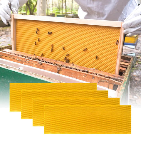 HiveSweet 20-pack foundation set streamlines hive prep for beekeepers