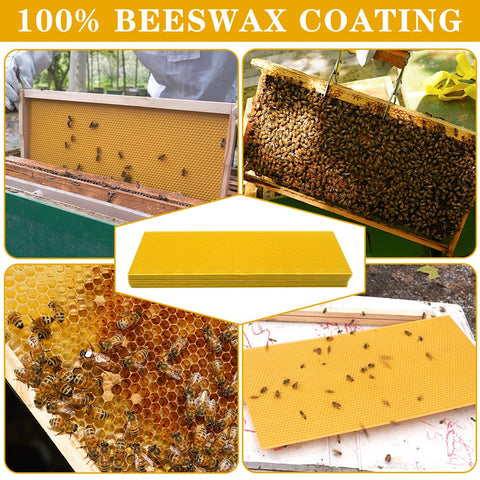 HiveSweet plastic foundation board with beeswax coating resists deformation during installation