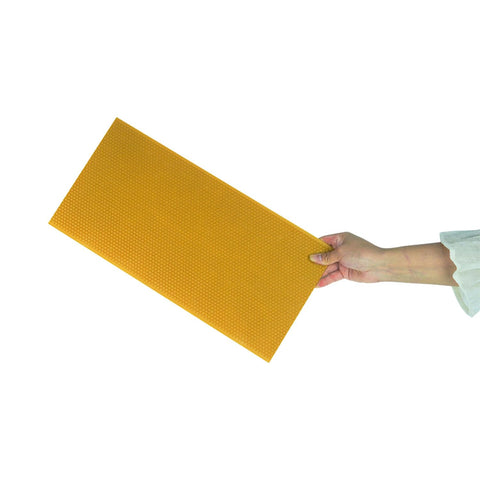 HiveSweet wax-coated foundation in frame demonstrates easy insertion