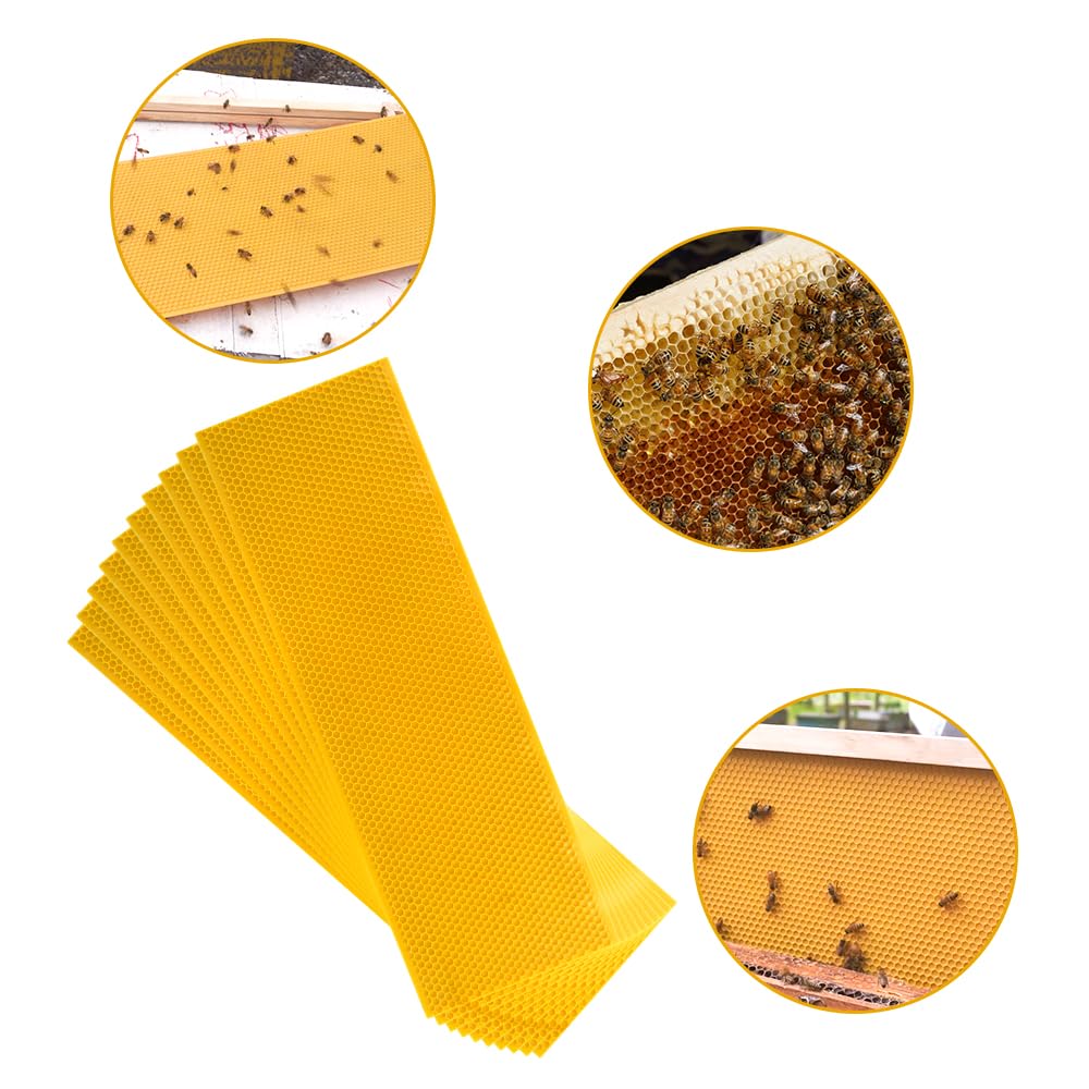 HiveSweet yellow 5-5/8-inch foundation sheet fits standard frames