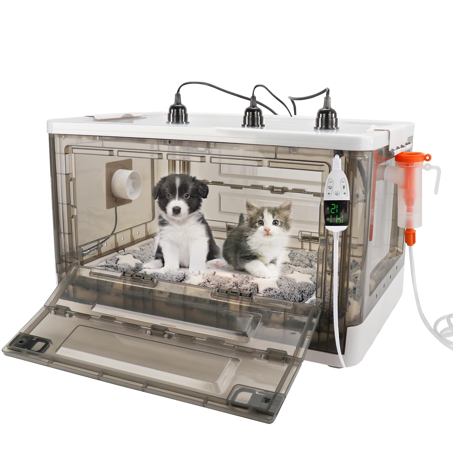 HKDQ Puppy Incubator 85L interior offers roomy space for newborns to rest.