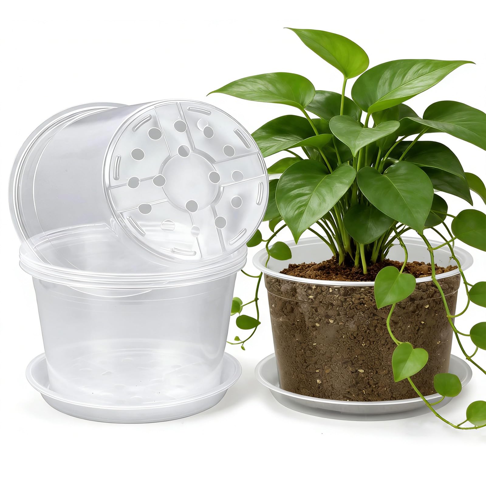 HKKZYT 12-inch clear nursery pot with drainage for healthy roots and precise moisture control.