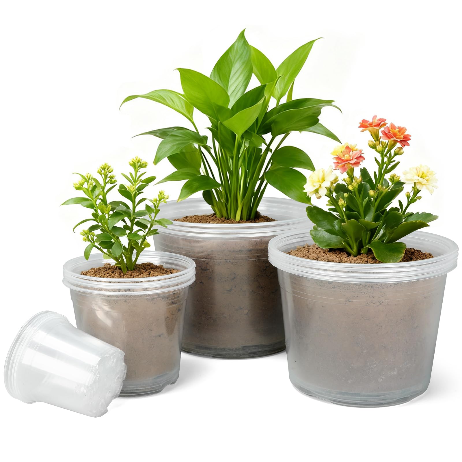 HKKZYT clear nursery pot 10-inch with drainage holes for healthy root growth and drainage