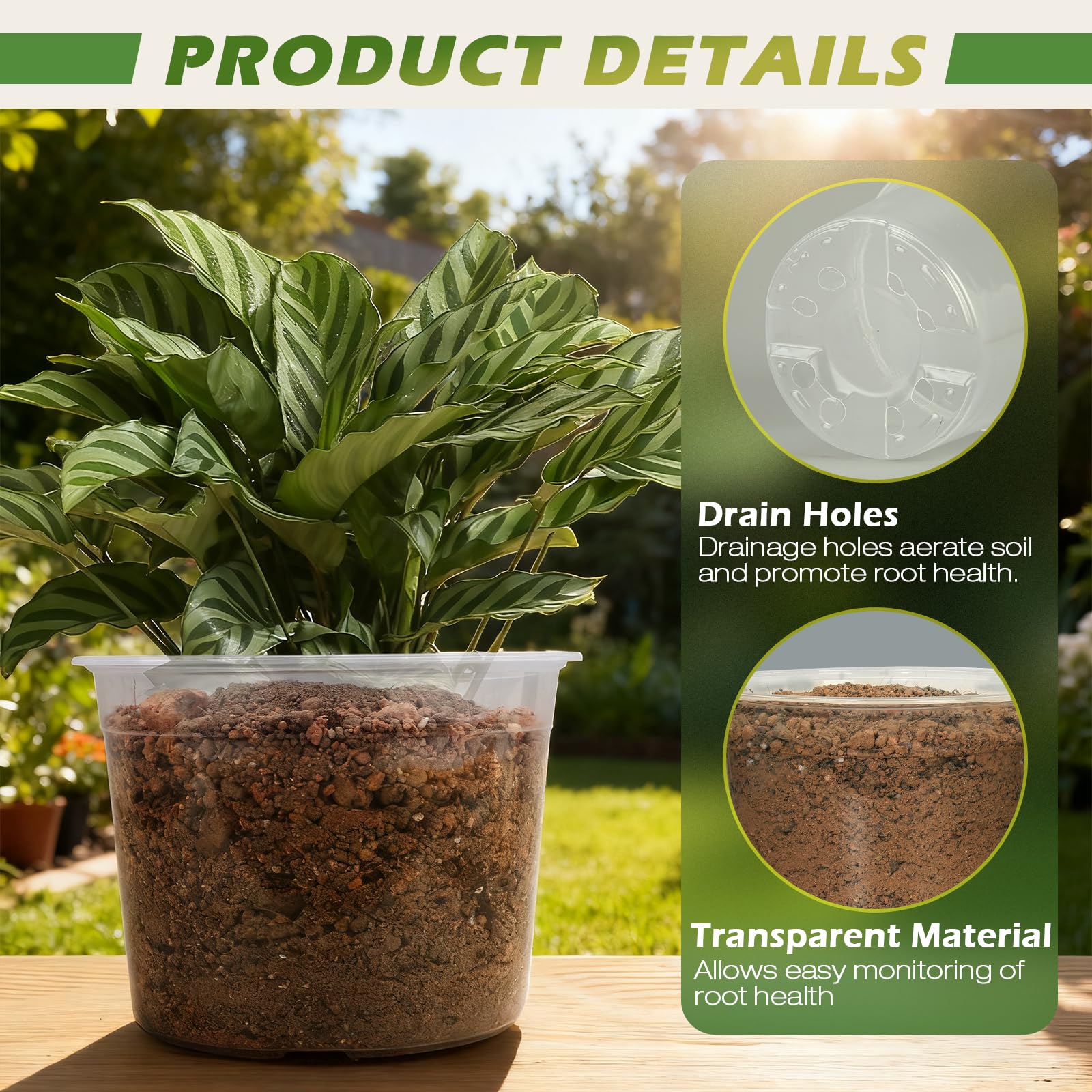 HKKZYT clear nursery pot 8-inch with drainage holes ideal for seedlings