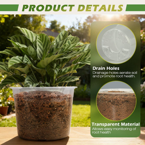 HKKZYT clear nursery pot 8-inch with drainage holes ideal for seedlings