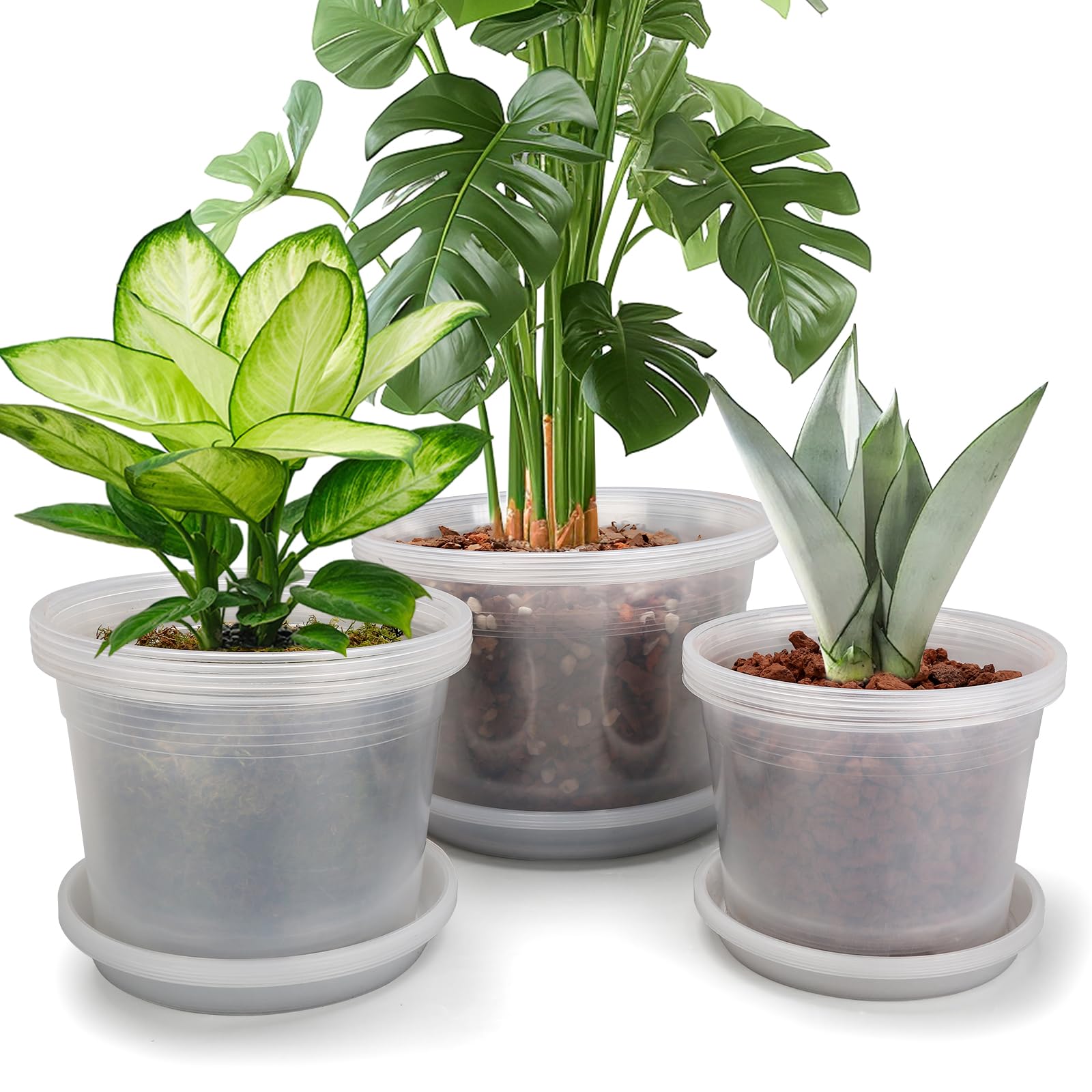 HKKZYT clear nursery pot with drainage holes for healthy root growth.