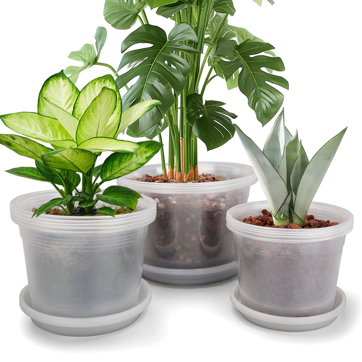 HKKZYT clear nursery pot with drainage holes for healthy root growth.