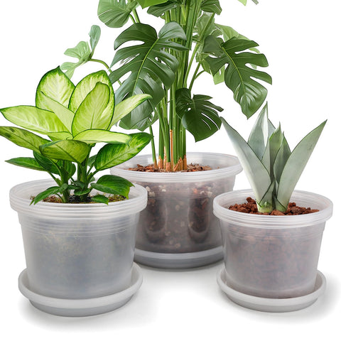 HKKZYT clear nursery pot with drainage holes for healthy root growth.