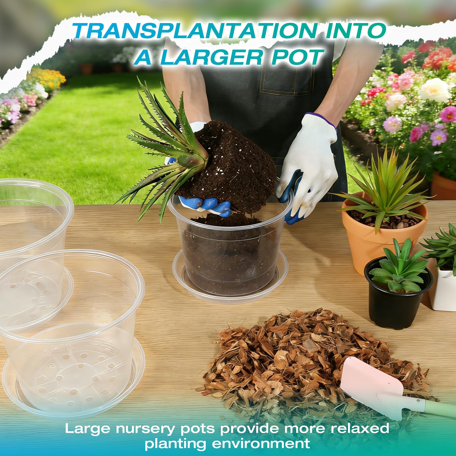 HKKZYT clear nursery pot ideal for indoor or outdoor planting setups and display.