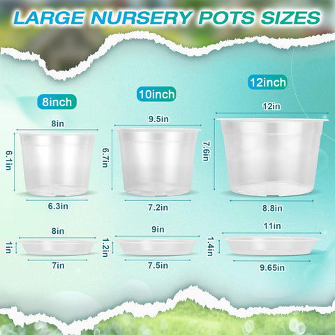 HKKZYT clear nursery pot with saucer set keeps surfaces clean during watering and transfers.