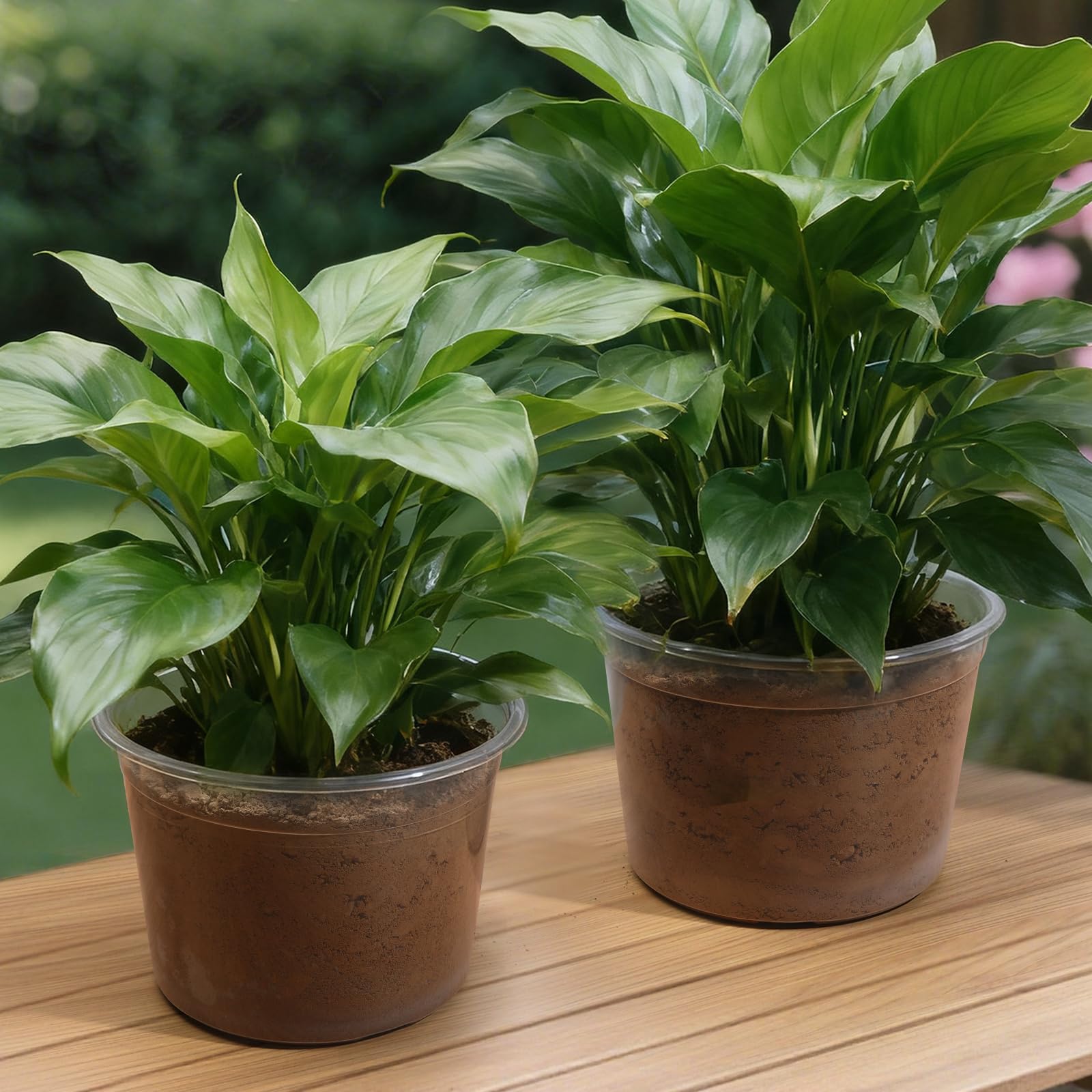 HKKZYT decorative inner-pot option to simplify plant transfers
