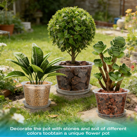 HKKZYT multipurpose clear plant pot suitable for flowers, succulents, or decorative projects.