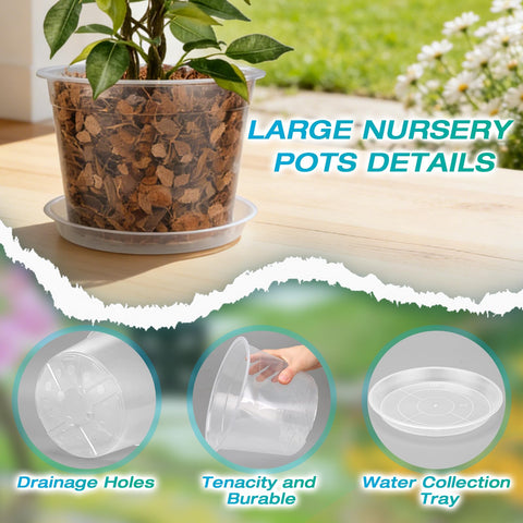 HKKZYT transparent nursery pot shows root health and soil moisture for easy care decisions.