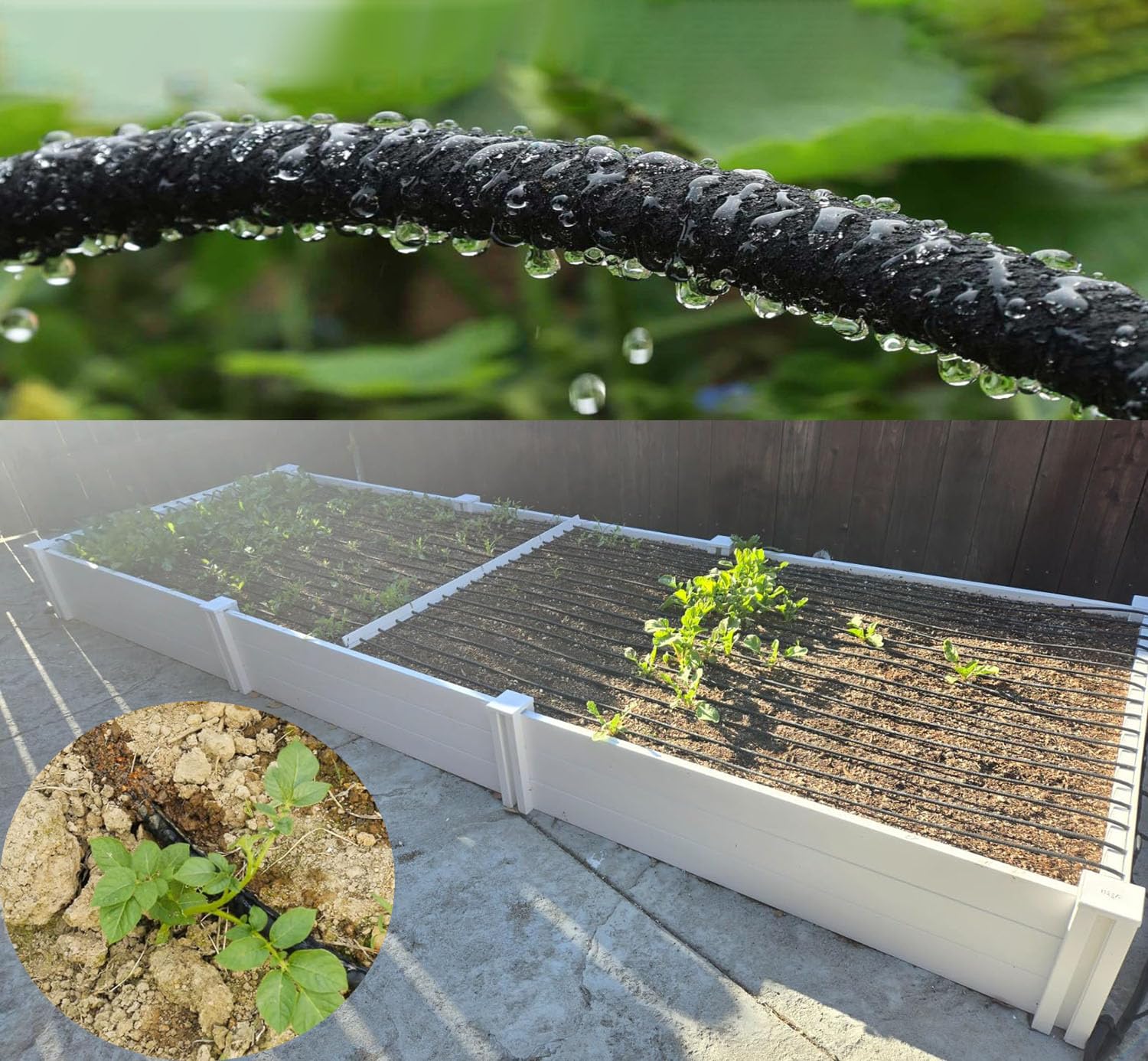 Water seeps gently into soil around roots with Hkvoxim soaker hose.