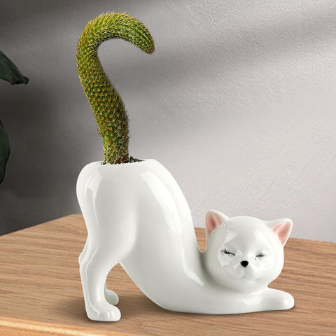 HKZTUY tailless cat planter with compact size fits tight desks.