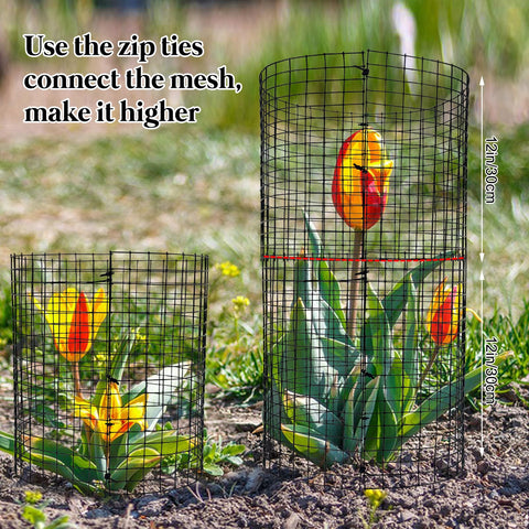 Hlimior garden use shows seeds thriving in secure cages