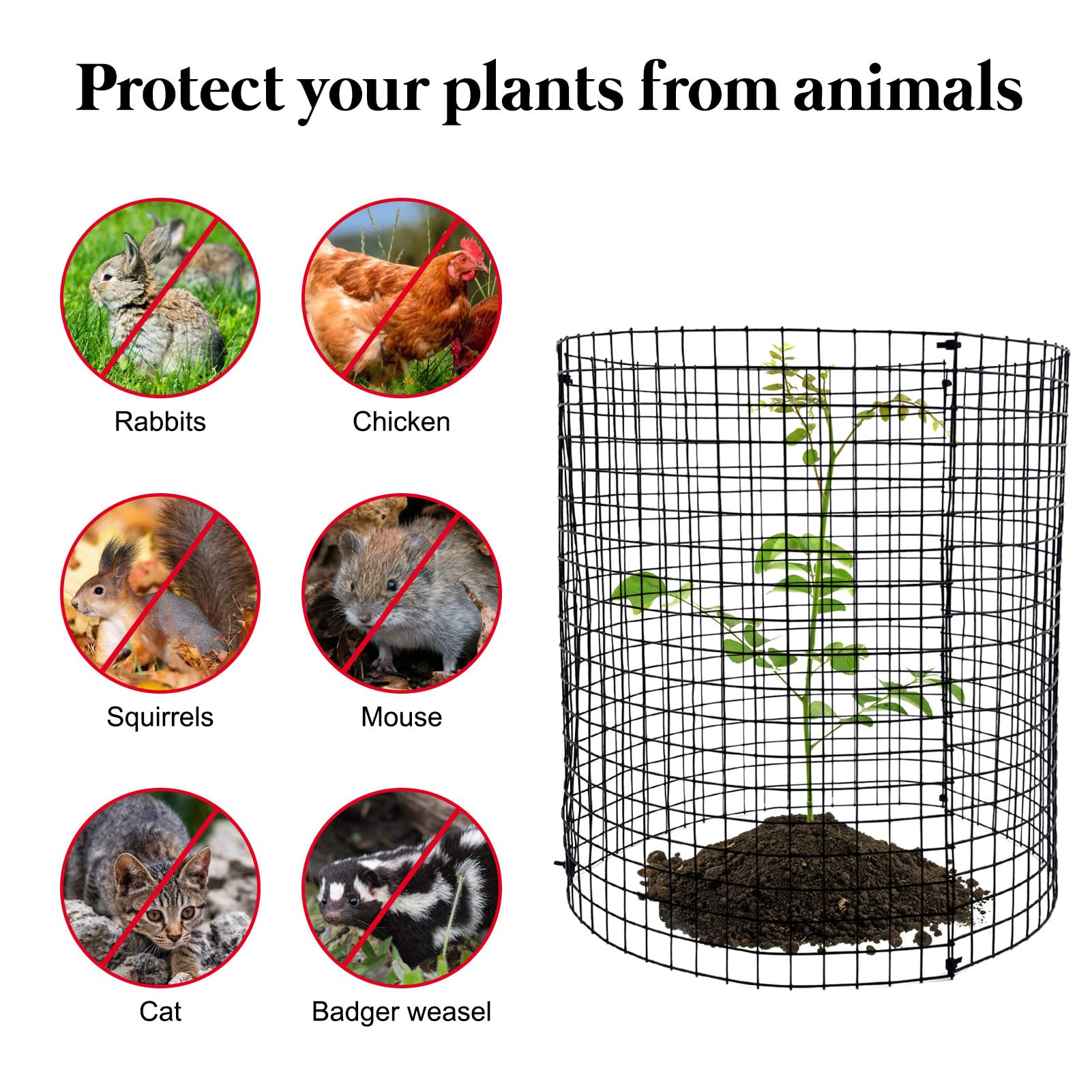 Hlimior rectangular cage option facilitates flexible garden protection